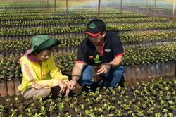 Đổi mới sáng tạo trong các hoạt động chuyển đổi xanh của doanh nghiệp