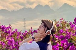 Suối Bon mùa hoa sim góc sống ảo lý tưởng cho du khách mê thiên nhiên