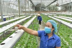 Hà Nội, 15 năm hành trình đổi mới nông thôn