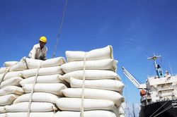 Thủ tướng chỉ đạo tăng cường các giải pháp thúc đẩy sản xuất, xuất khẩu và ổn định thị trường gạo