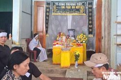 Đi cắt cỏ, người đàn ông ở Anh Sơn bị ong đốt tử vong