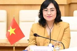 Thứ trưởng Phan Thị Thắng là thành viên Ban Chỉ đạo quốc gia về kinh tế tập thể