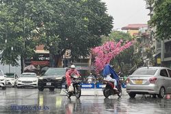 Hôm nay, mưa lớn ở trung du và miền núi Bắc Bộ, đề phòng sạt lở, lũ quét