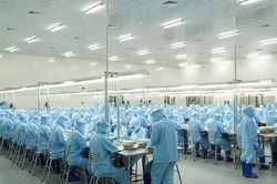 Doanh thu Yến sào Khánh Hòa đạt gần 13.000 tỷ đồng giai đoạn 2020-2025
