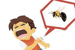 Liên tiếp nhiều vụ ong vò vẽ tấn công gây tử vong: Cảnh báo nguy hiểm và khuyến cáo phòng tránh