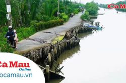 Báo động tình trạng sạt lở lộ giao thông tại xã Cái Nước