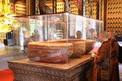 Ninh Bình phát huy giá trị chứng tích sinh học cách đây gần 13.000 năm