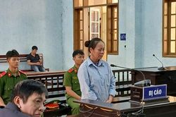 Lừa đảo chiếm đoạt hơn 4,6 tỷ đồng, người phụ nữ lĩnh án hơn 12 năm tù