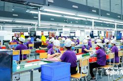 Nghệ An tổ chức Hội thảo khoa học phân tích, dự báo thị trường lao động và kết nối cung - cầu