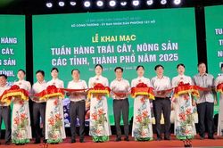 Tuần hàng trái cây, nông sản 2025: Cơ hội quảng bá, kết nối sản phẩm