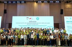 Việt Nam nỗ lực đảm bảo nguồn gỗ hợp pháp, hướng tới phát triển lâm nghiệp bền vững