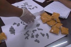Để ma túy 'không có đất sống'