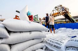 8 tháng đầu năm 2025: Việt Nam xuất khẩu gạo đạt 3 tỷ USD