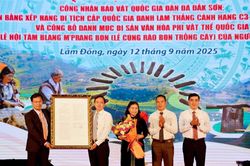Công bố Quyết định công nhận bảo vật Quốc gia Đàn đá Đắk Sơn