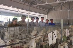 Lâm Đồng có nông dân và nhà khoa học được vinh danh toàn quốc năm 2025