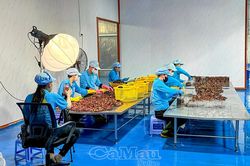 Nông dân bắt nhịp chuyển đổi số