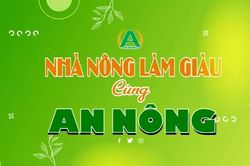 �Chăm sóc phòng trừ dịch hại cho cây lúa | Nhà nông làm giàu cùng An Nông