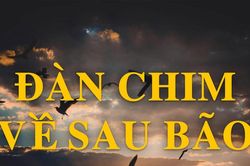 Truyện ngắn: Đàn chim về sau bão