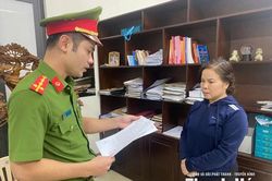 Khởi tố đối tượng trốn thuế gây thất thoát ngân sách Nhà nước trên 11 tỷ đồng