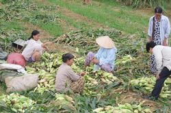 Buồn!