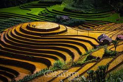 Qua miền Tây Bắc