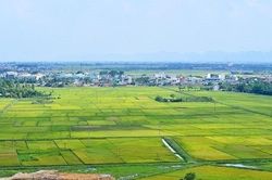 HoREA: Cách thu tiền chuyển đổi đất nông nghiệp sang đất ở vẫn cao