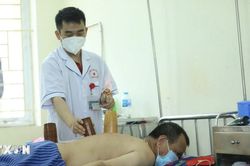 Đẩy mạnh phát triển nền y học cổ truyền Việt Nam trong giai đoạn mới