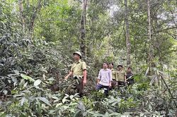 Hạt Kiểm lâm Bá Thước tuyên truyền nâng cao hiệu quả bảo vệ rừng