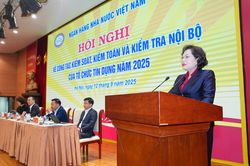 Tăng cường công tác kiểm soát, kiểm toán và kiểm tra nội bộ của TCTD