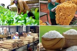 Mở rộng thị trường, thúc đẩy xuất khẩu hàng hóa những tháng cuối năm