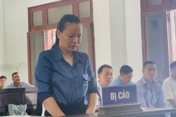 Lừa góp tiền buôn đất để chiếm tiền tỷ