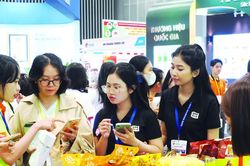 Gian nan chống xâm phạm sở hữu trí tuệ