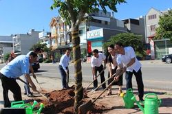 Bắc Ninh: Phát động Chiến dịch 'Làm cho thế giới sạch hơn' năm 2025