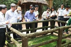 HĐND TPHCM khảo sát tìm giải pháp hỗ trợ giáo dục và bảo tồn di tích