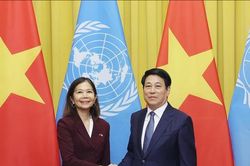 Chủ tịch nước Lương Cường tiếp Điều phối viên thường trú Liên hợp quốc tại Việt Nam