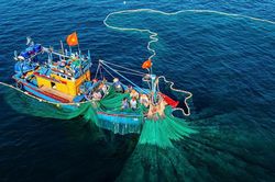 Hoa Kỳ từ chối công nhận 12 nghề khai thác hải sản của Việt Nam: Hành động để nâng cao quản lý nghề cá