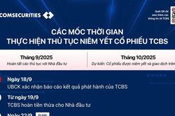 Hút gần nửa tỷ USD vốn ngoại từ IPO, cổ phiếu TCBS dự kiến 'chào sàn' HOSE tháng 10