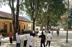 Chánh Văn phòng Sở GD&ĐT Nghệ An: Sẽ xử lý việc biệt phái giáo viên vừa có lý, vừa có tình