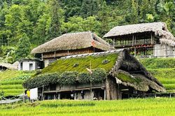 Giữ hồn mái nhà rêu dưới chân Tây Côn Lĩnh