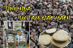 Tinh hoa từ Tam giác mạch