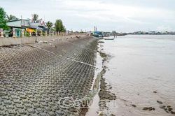 Dự báo sớm, ứng phó kịp thời, hiệu quả