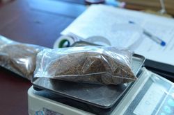Công an Nghệ An bắt giữ 2 thanh niên mua bán ma túy dạng 'Tobacco'