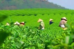 Hạnh Lâm, miền đất biên cương bừng sức sống mới...