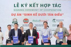 Phát triển nông nghiệp bền vững từ 'Sinh kế dưới tán điều'
