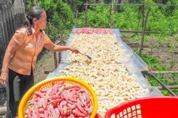 Nghệ nhân tâm huyết giữ nghề làm bánh truyền thống