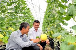 Đồng Nai đẩy mạnh nông nghiệp công nghệ cao, nâng cao giá trị nông sản:Chiến lược nâng cao giá trị nông sản