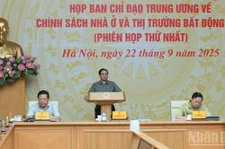 Tháo gỡ mọi vướng mắc, thúc đẩy phát triển thị trường bất động sản, nhà ở xã hội lành mạnh, đúng hướng