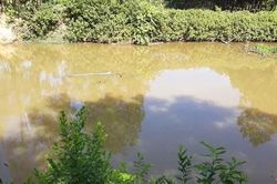 Phát hiện thi thể bé gái dưới ao sau gần nửa ngày mất tích