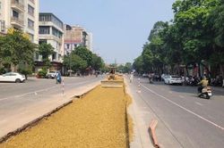 Hơn 12 tỷ đồng đầu tư cải tạo đường Huyền Quang