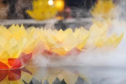 Nguyện cầu khác với tham cầu